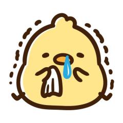 りさ