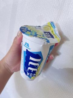 ICE