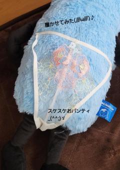 シースルー???