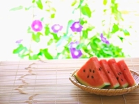 待ちナビ いろは