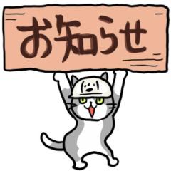 ぽちゃカワましゅまろ～GRINDグループ～　体験まさき