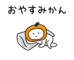 Madam  Cherish　のり香