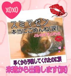 申し訳ございません。。。