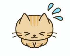 保険屋のおばちゃん　しほ