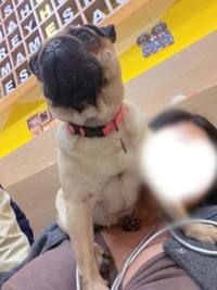 きくらげ