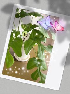 ✮*｡ﾟお礼❀.𖥔݁˖