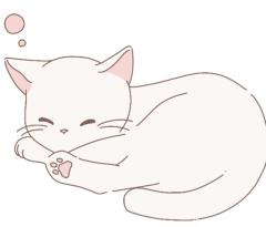 ご主人様いらっしゃい 大分店　めぐ♡ご希望の方、即尺