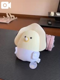 マドンナSANSAIN(宮崎市) しょう