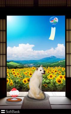 保険屋のおばちゃん　まり