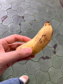 そんなバナナって