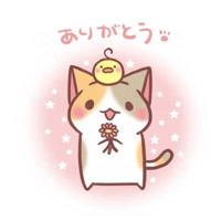 宮崎ちゃんこ中央通店(宮崎市) りおん