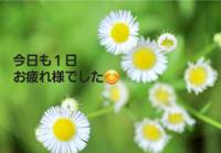 報告