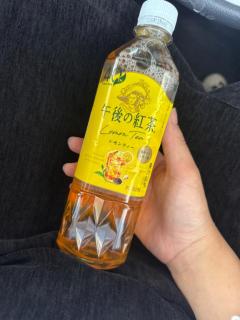鹿児島ちゃんこ薩摩川内店　すいれん