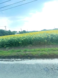 ルカの大好きな花