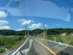 大嫌いな