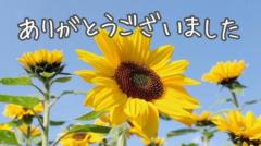 ありがとうございました???