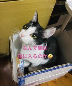 昭和（沖縄・完全個室プライベートエステ）　与那嶺綾子