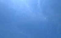 価値あるふわぽちゃ