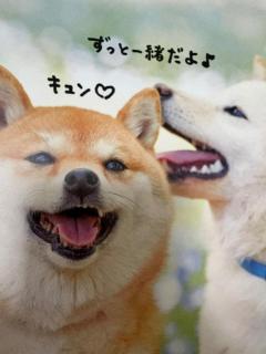 むむむっ？