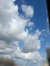 今日も