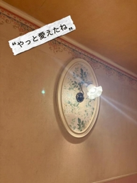 宮崎ちゃんこ都城店　ふみか