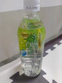 宮崎ちゃんこ都城店　じゅん
