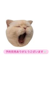 予約かんばいっ！
