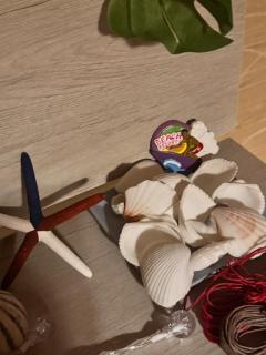 鹿児島ちゃんこ薩摩川内店　すいれん