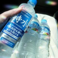 朝一番の写真?