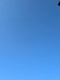 今日は午前中はバタバタでした。