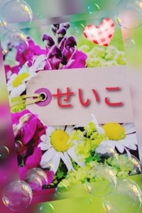 せいこ