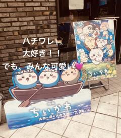 観てきました🎞️✨