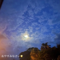 宮崎ちゃんこ都城店　ふみか