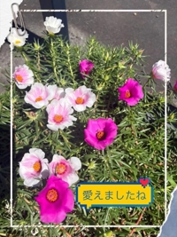 戻りました^ ^