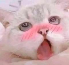 2時間自宅