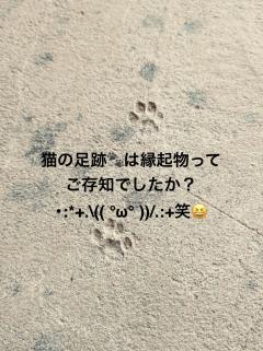 縁起がいい🎶