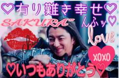 MICHELIN ミシュラン　サクラSakura