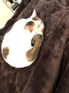 即生専門店ゴッドパイ　まこ♡完全業界未経験♡