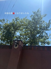 お礼日記