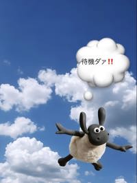 あいてるよ
