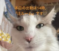 おはようございます☀