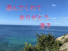 今日のお礼です