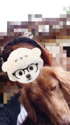 [お題]from:今日のワン公さん