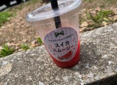 お気に入りの