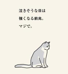 キャンディ ルル 次の予定?=🙂‍↕️?