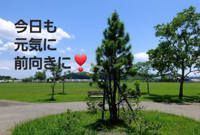 暑いですね