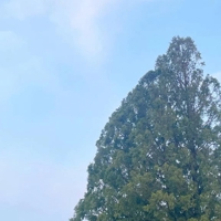 8時頃出勤します