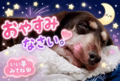 今日も１日お疲れ様でした…