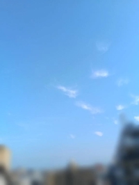 今日も
