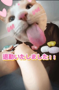 熟女の風俗アウトレット都城店 らん 退勤しました！